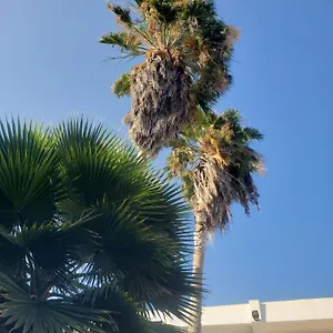 Sea Shell Palms, Ocho Ríos